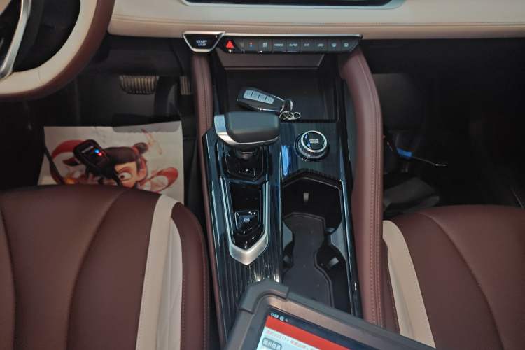 Used Geely Auto Monjaro L 2021 2.0TD DCT EVO Two-Wheel Drive Prestige Version
