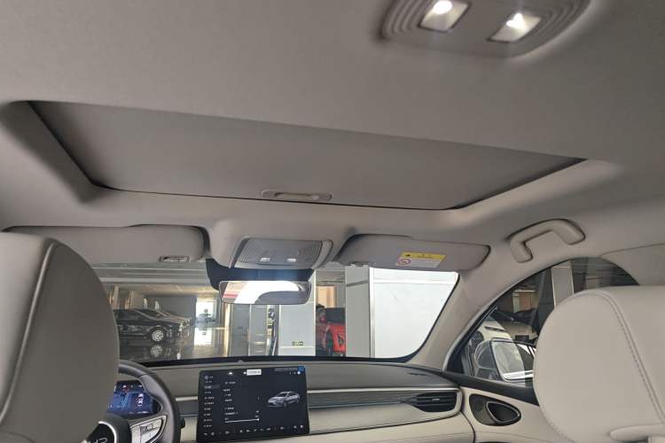 Used BYD Seal 05 DM-i 2025 DM-i Intelligent Drive 120KM Flagship Model Headliner