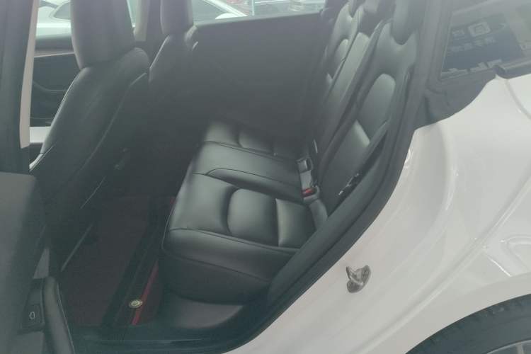 Used Tesla Model 3 2022 Rear-Wheel-Drive Version
