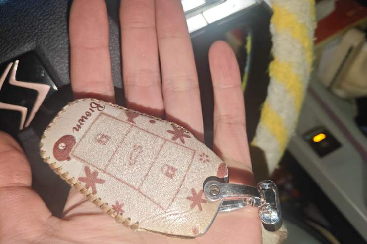 Used SOL E10X 2022 Flower Fairy Design Sunflower
