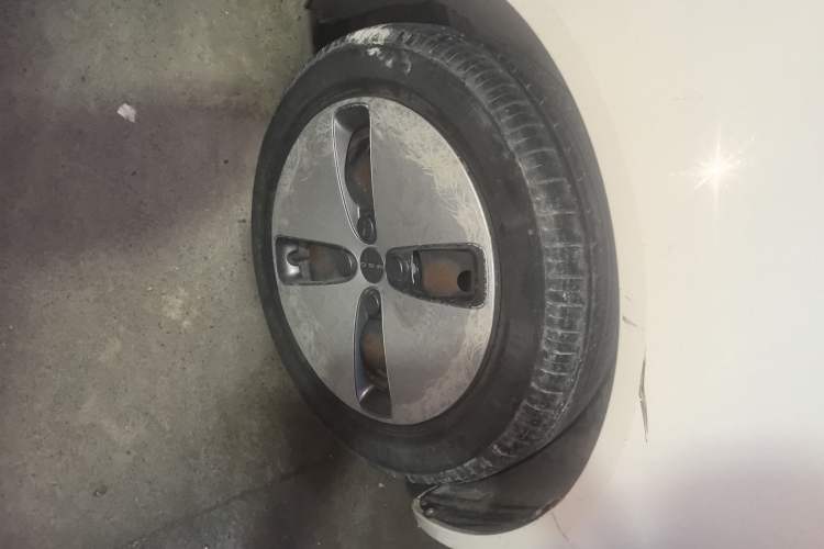 Used ORA Black Cat 2019 301km Standard Edition