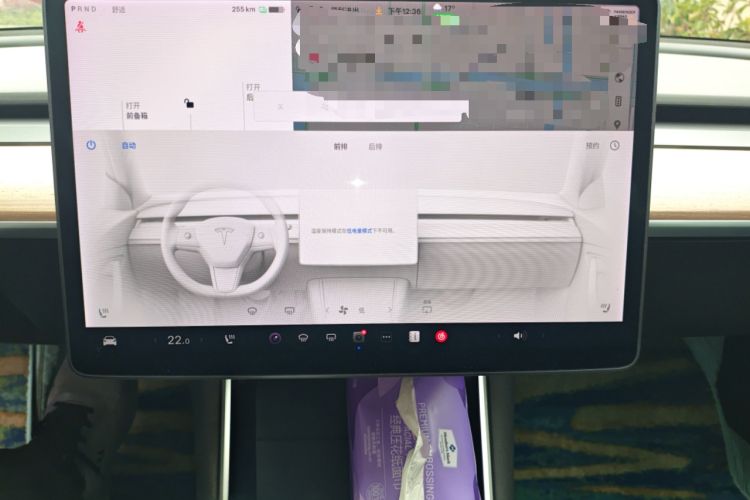 Used Tesla Model 3 2020 Revised Version Standard Range Rear-Wheel Drive – Upgraded Edition
