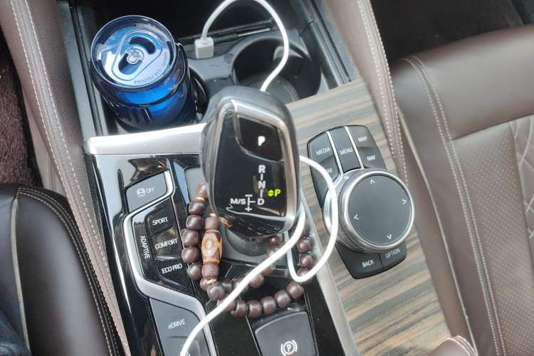 Used BMW 5 Series New Energy 2019 530Le Luxury Package
