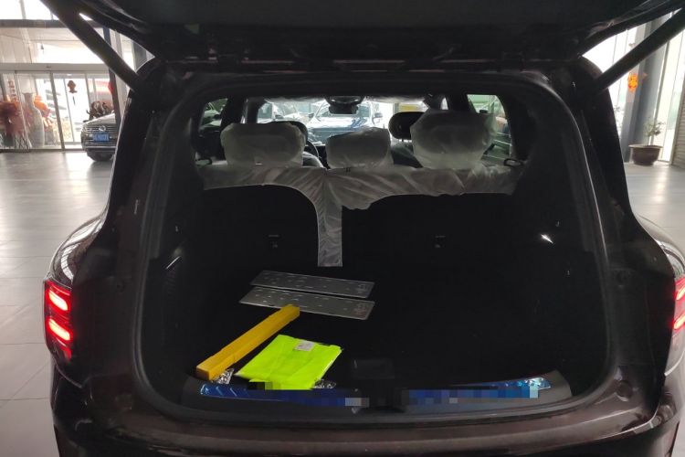 Used smart #5 2024 Ultra-Long Range Extraordinary Journey Luxury Edition