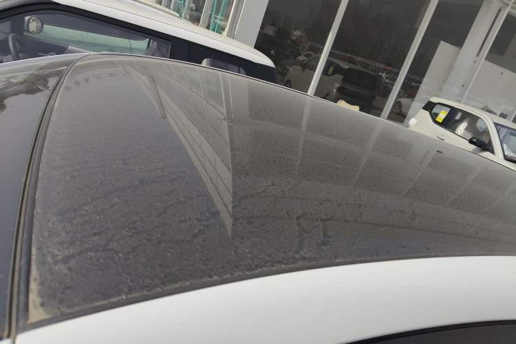 Used Chery Little Ant 2024 Facelifted 321km Beloved Edition Roof