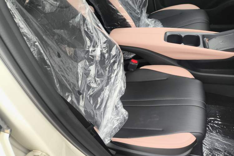 Used BYD Seagull 2025 405 km Flying Edition Right Front Seat