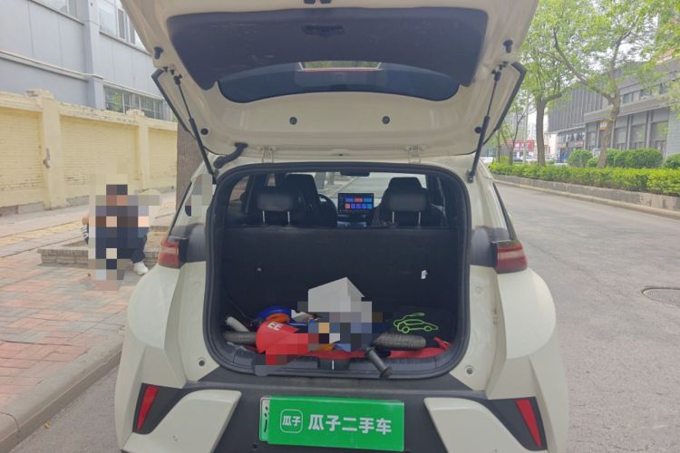 Used BYD Seagull 2025 Smart Drive Version 305 km Freedom Edition