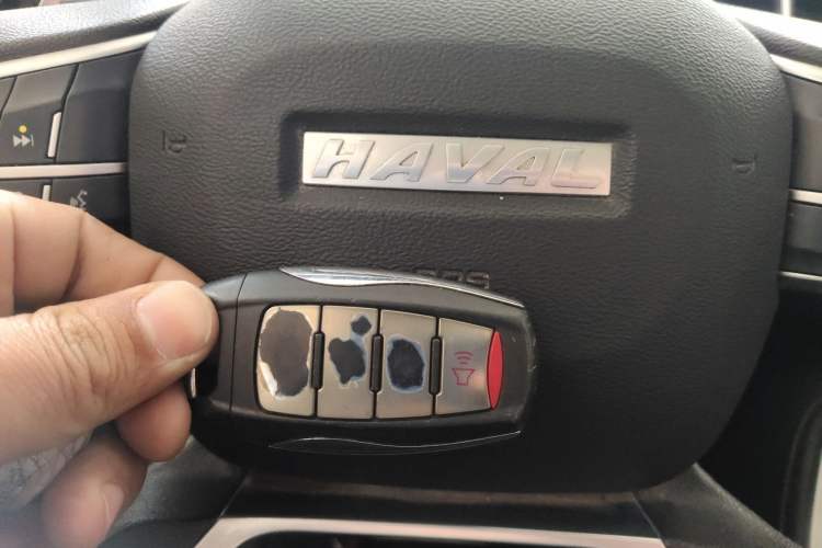 Used Haval H6 2021 National Trend Edition 1.5T Automatic Urban Version
