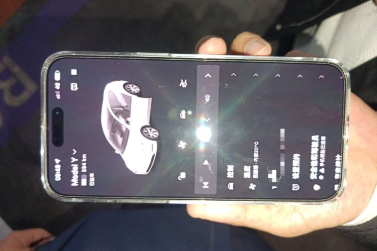 Used Tesla Model Y 2022 Rear-Wheel-Drive Version
