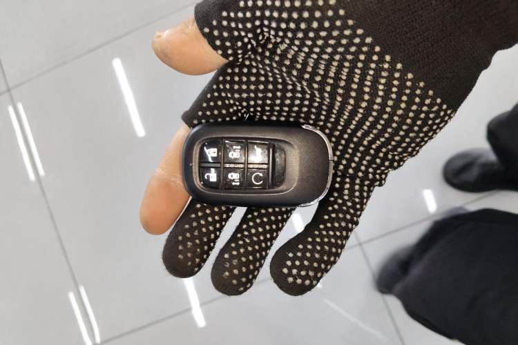 Used Honda Elysion 2024 2.0L eHEV Luxury Edition
