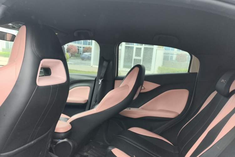 Used BYD Seagull 2023 Free Edition Headliner