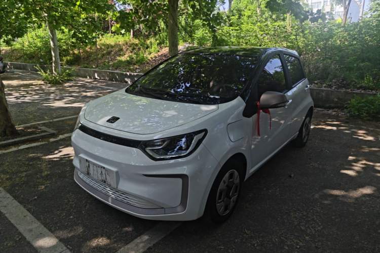 Used SOL E10X 2022 Flower Fairy Design Dandelion