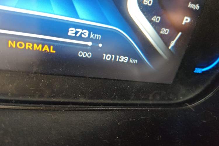 Used Dayun Yuehu 2021 32.85 kWh Two-Wheel-Drive Sprite Version Odometer Close Up