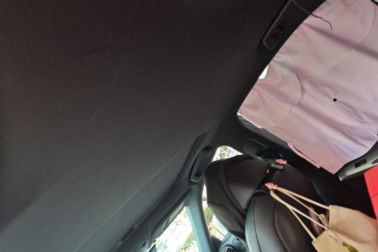 Used Lexus IS 2017 300 F SPORT Edition Headliner