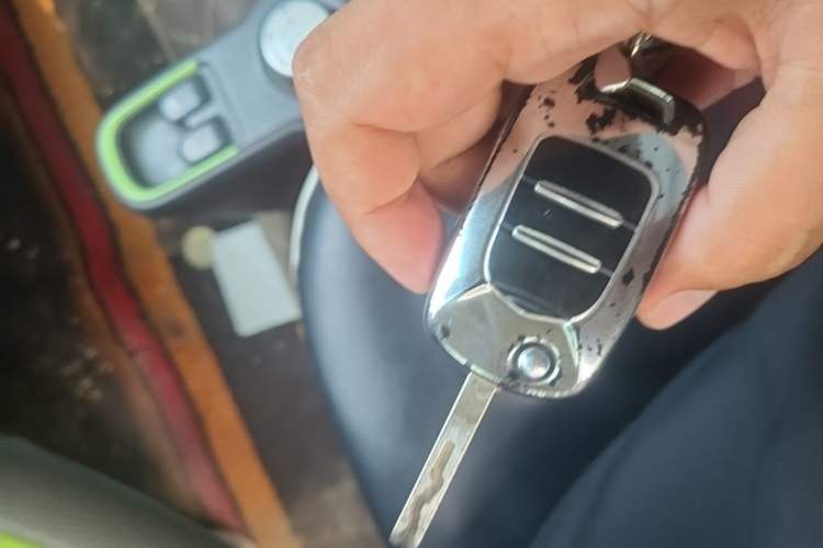 Ojetý Baojun E100 2020 305KM Smart Drive Version