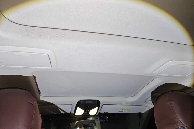 Used BMW 5 Series New Energy 2018 530Le Luxury Package