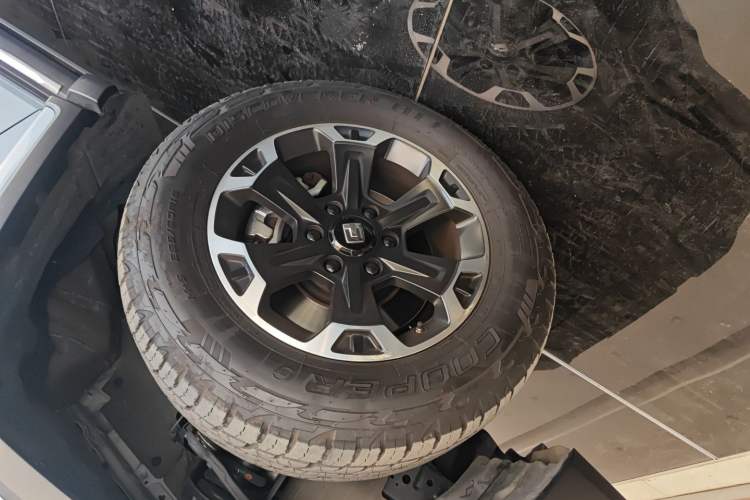 Used Tank 300 New Energy 2024 Hi4-T