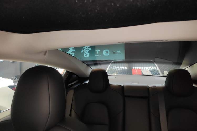 Used Tesla Model 3 2019 Standard Range Rear-Drive Upgraded Version Headliner