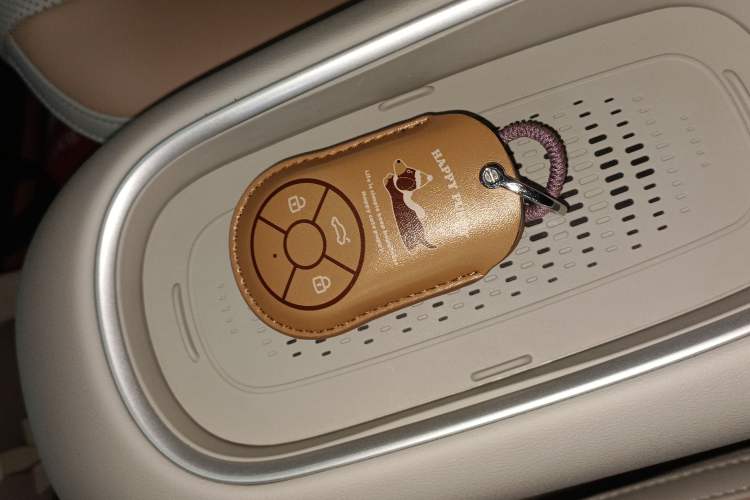 Used ORA Good Cat GT 2024 Mulan Edition 401 km Range Prestige Version 135 kW
