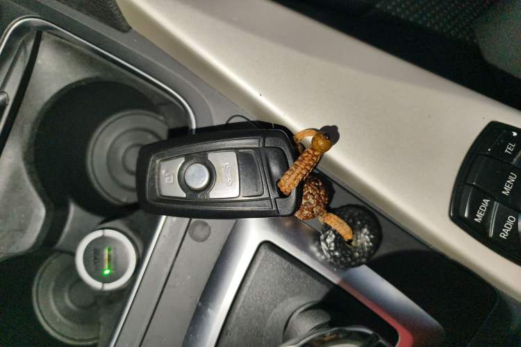 Used BMW 3 Series 2016 320Li Fashion Model
