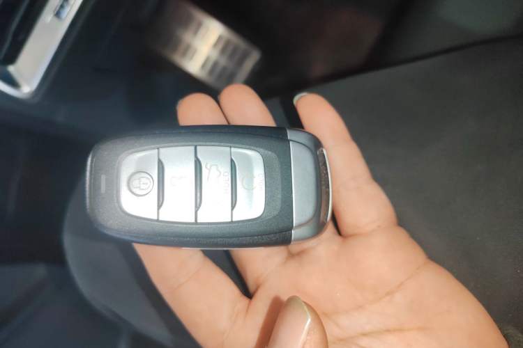 Used Hongqi E-HS9 2021 460 km Range Flagship Edition Six-Seater