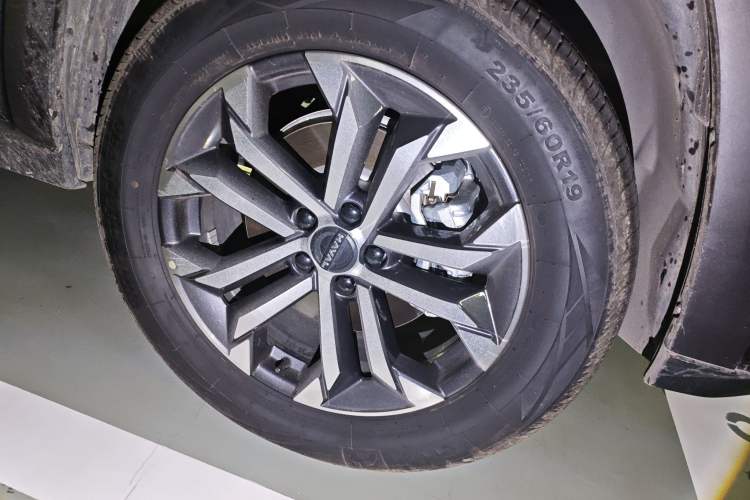 Used Haval H Dog 2023 2.0T Two-Wheel Drive Chaoye Version Plus