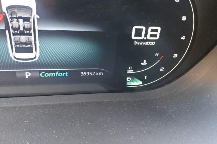 Used Roewe RX5 MAX 2021 Supreme Series 300TGI Automatic Smart Cabin Edition Odometer Close Up