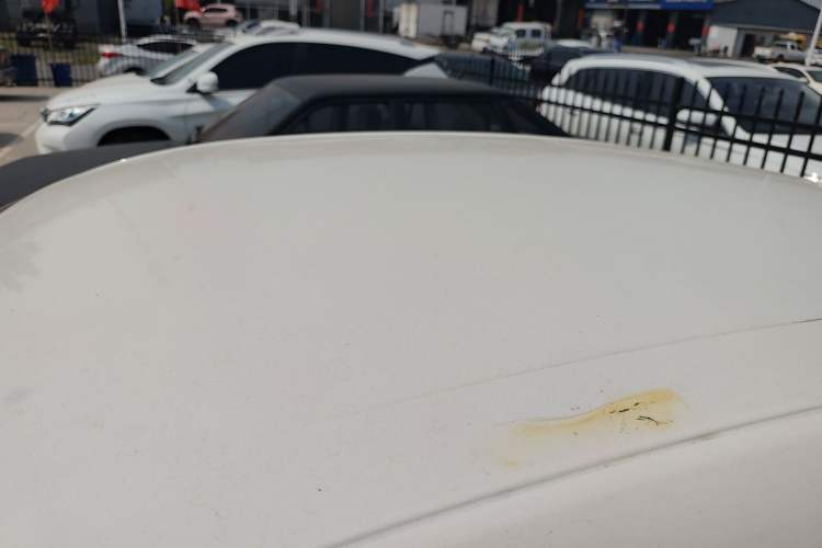 Used Ford Escort 2017 Revised Version 1.5L Automatic Comfort Edition Roof