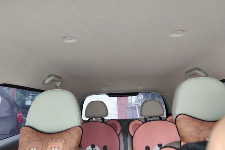 Used ORA White Cat 2022 Xiaoyue Mao Edition 360 km Luxury Model Lithium NMC
