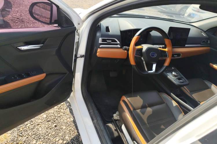 Used BYD e2 2021 Luxury Model