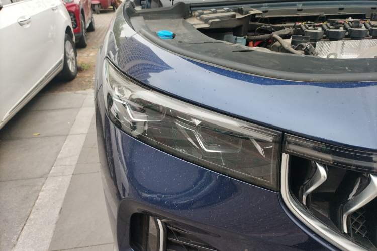 Used VOYAH FREE 2021 Four-Wheel Drive Standard Range-Extended Version
