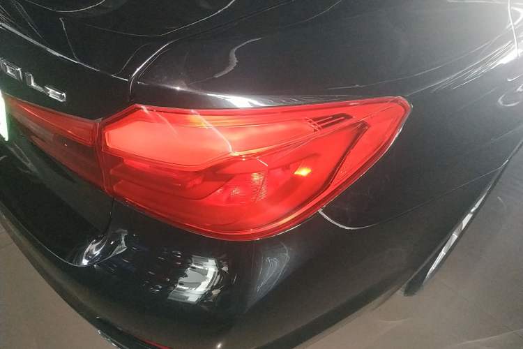 Used BMW 5 Series New Energy 2020 530Le Luxury Package