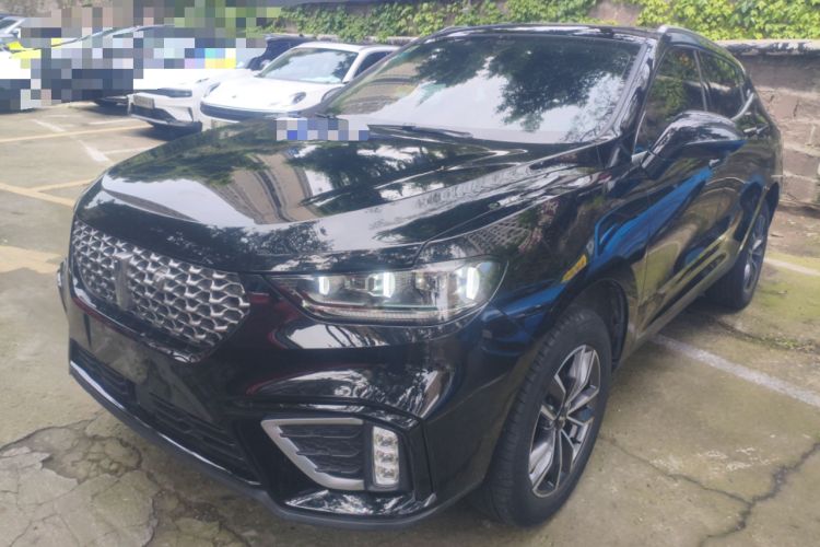 Used Wey VV5 2021 1.5T Two-Wheel Drive Color Pioneer