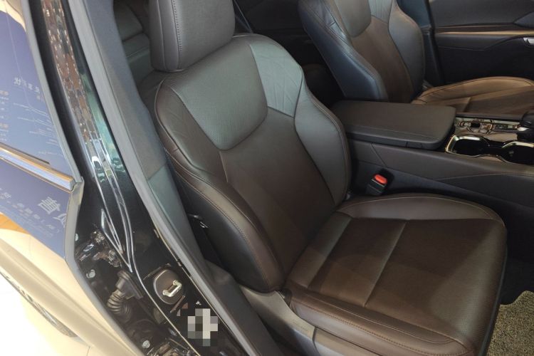 Used Lexus RX New Energy 2023 450h+ Four-Wheel Drive Enjoyment Edition Right Front Seat