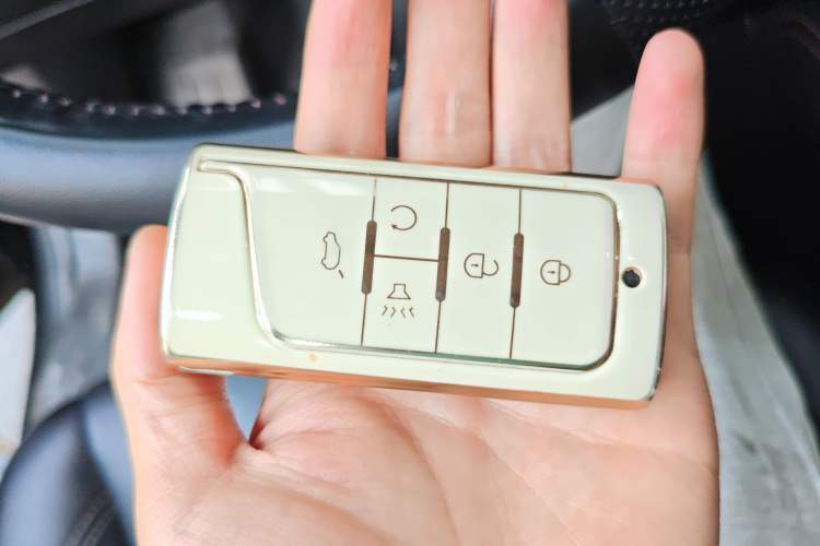 Used GAC Trumpchi GS8 2019 390T Two-Wheel Drive Luxury Smart Connectivity Version (7 Seats)
