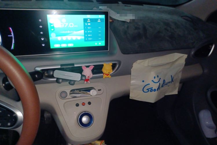 Used ORA White Cat 2020 360 km Luxury Version Audio And AC Panel