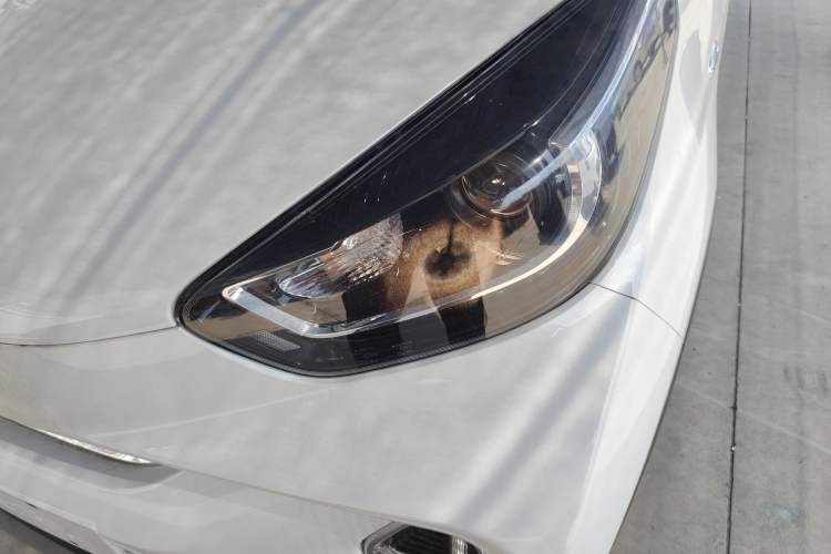 Used Chery Little Ant 2024 Youth Edition 251km True Love Edition 23.99 kWh