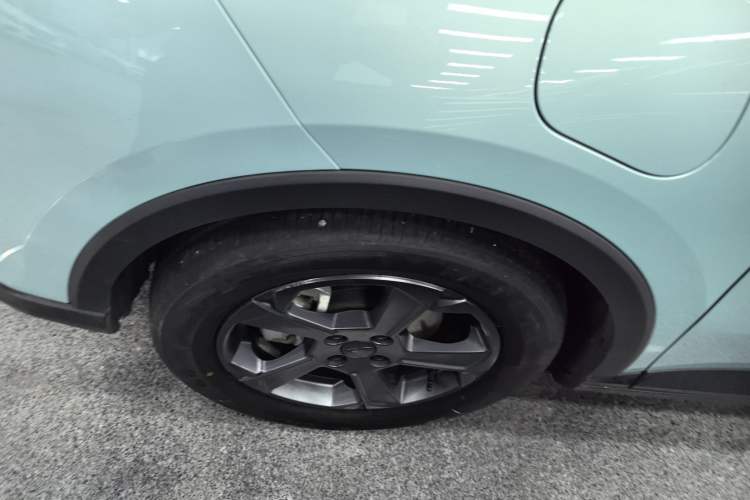 Used Geometry E Firefly 2022 320KM Cute Tiger 4-Seater