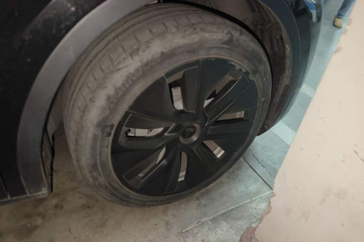 Used Tesla Model Y 2022 Rear-Wheel-Drive Version