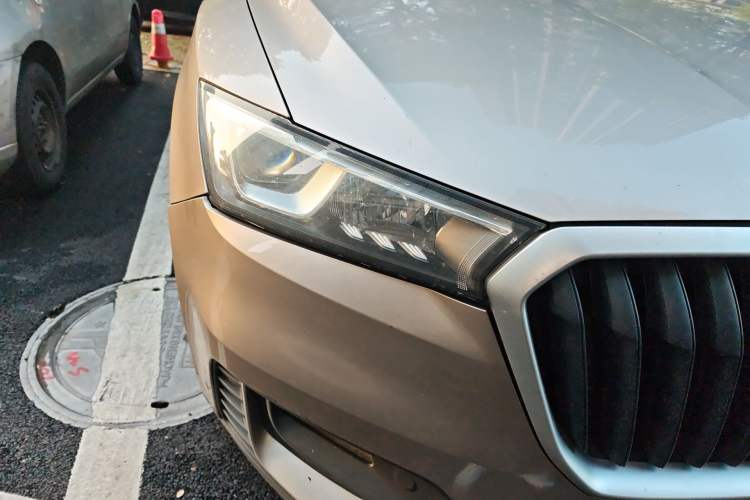 Used BORGWARD BX5 2017 20TGDI Automatic Two-Wheel Drive Pioneer Edition