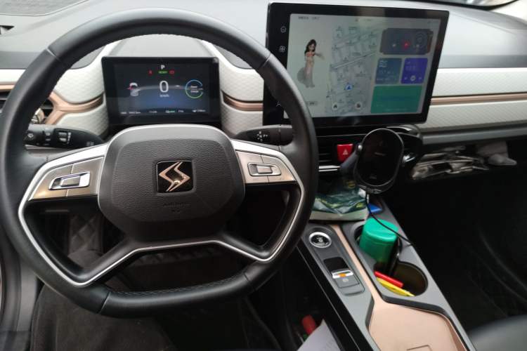 Used SOL E10X 2022 Flower Fairy Style Baby's Breath