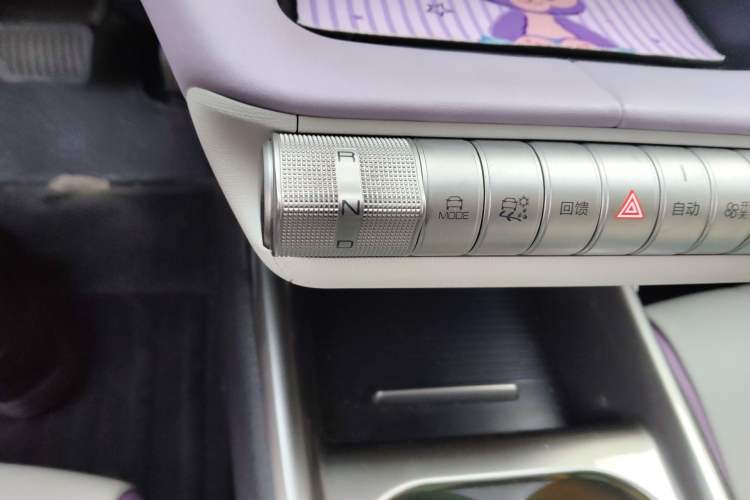 Used BYD Dolphin 2021 405 km Fashion Edition Gear Lever