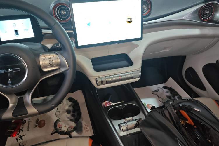 Used BYD Dolphin 2021 405 km Fashion Edition Audio And AC Panel