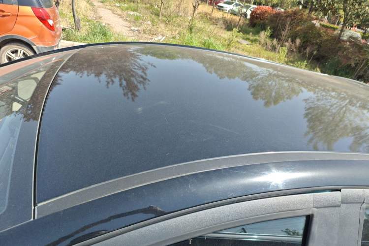 Used SOL E10X 2022 Flower Fairy Design Four-Leaf Clover
