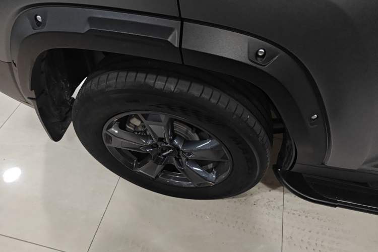 Used Haval Raptor 2025 2.0T 4WD Pro