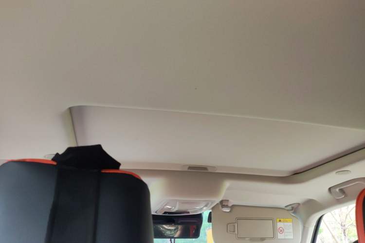 Used Tank 300 2021 City Edition 2.0T—Truly Stylish Headliner