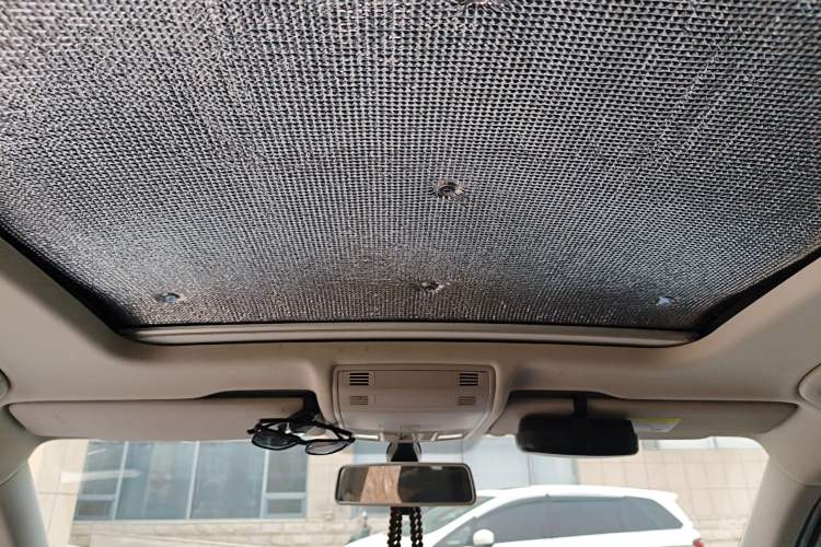 Used Volkswagen Tayron 2019 330TSI Two-Wheel Drive Luxury Model China VI Standard Headliner