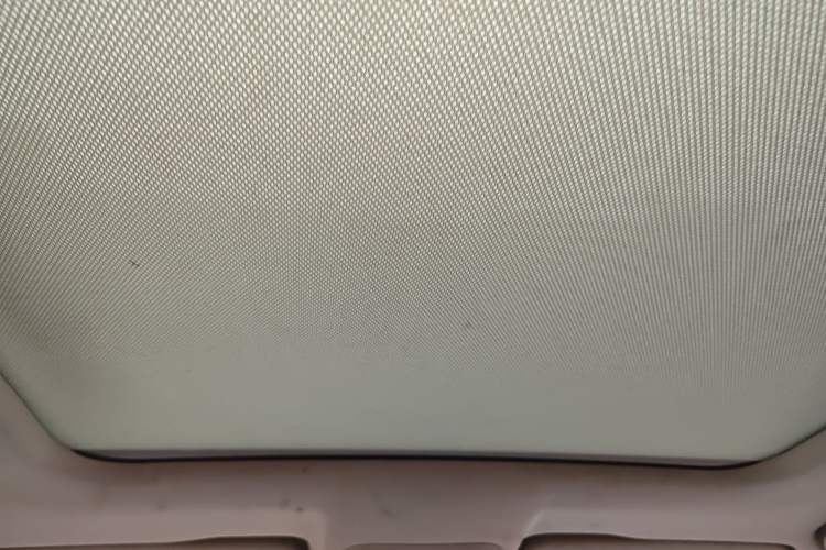 Used Wey P8 2018 2.0T Premium Edition Headliner