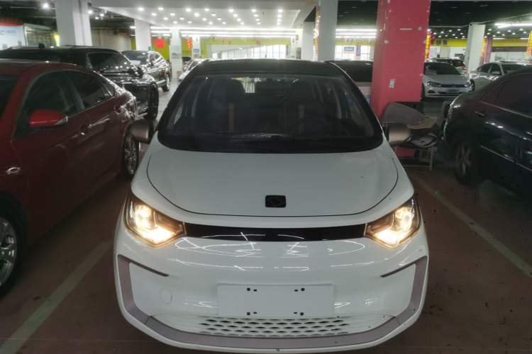 Used SOL E10X 2022 Flower Fairy Design Four-Leaf Clover