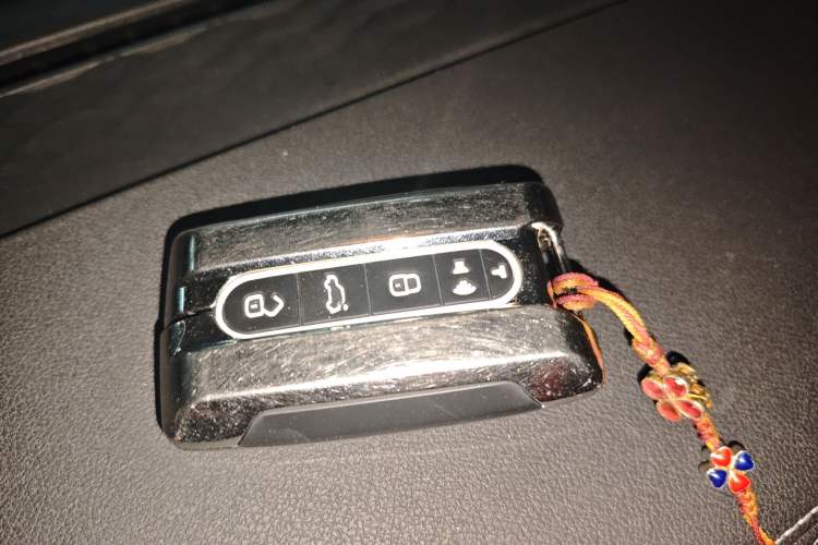 Used Tank 300 2021 City Edition 2.0T—Truly Stylish
